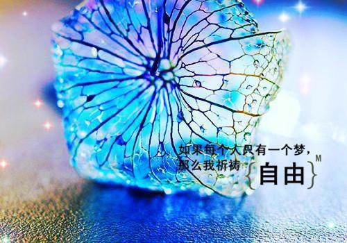 朋友祝愿的毕业诗句大全对朋友美好祝愿的诗句
