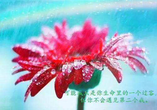 闺蜜十八岁生日贺词
