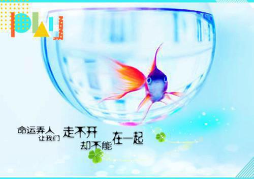 公司软件部员工的辞职报告