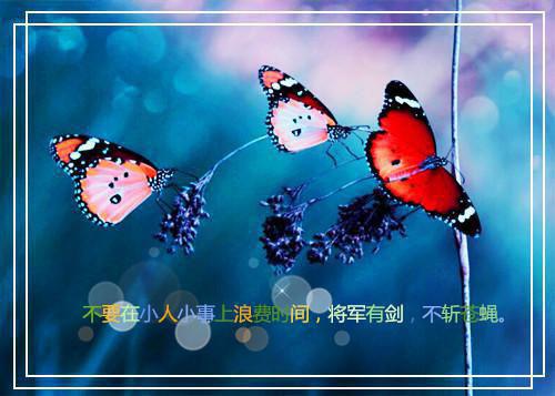 关于收银员个人工作总结锦集七篇