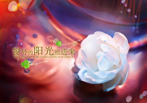 描写春天的诗句——《山房春事》