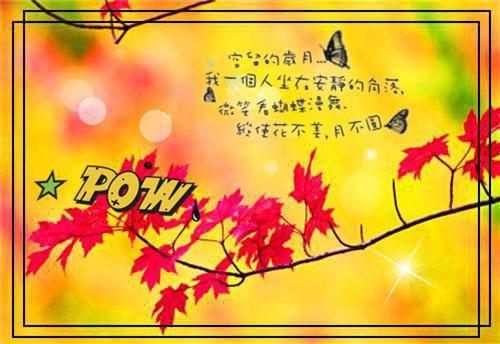 清风孤伴月