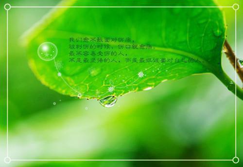 2023年2月教师辞职报告范文