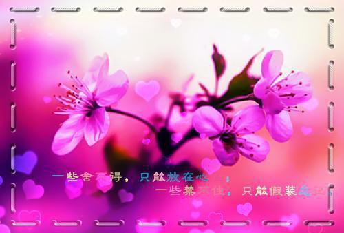 2023比较有个性的生日快乐祝福