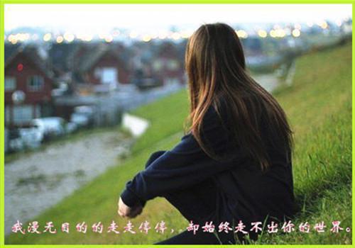 关于梅花的诗句——《新载梅》