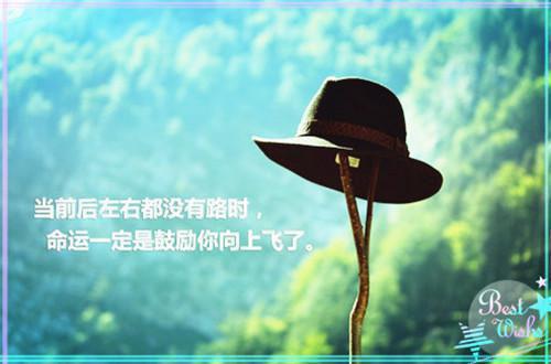 单人单车