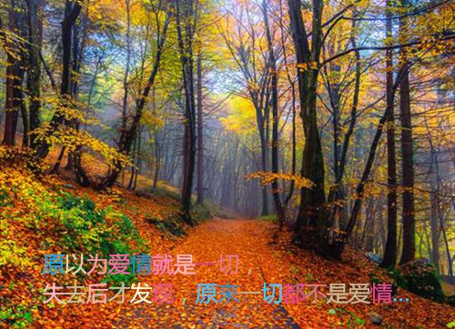 现代爱情故事：谁也不欠谁的
