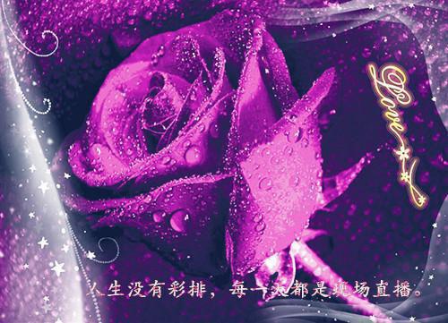 七零娇软真千金把最帅军少宠疯了小说完本(七零娇软真千金把最帅军少宠疯了)（柳沉鱼秦淮瑾）前传+整本阅读全新作品预订