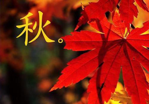 工人辞职的报告
