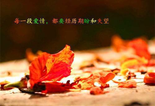 2023年教师辞职报告