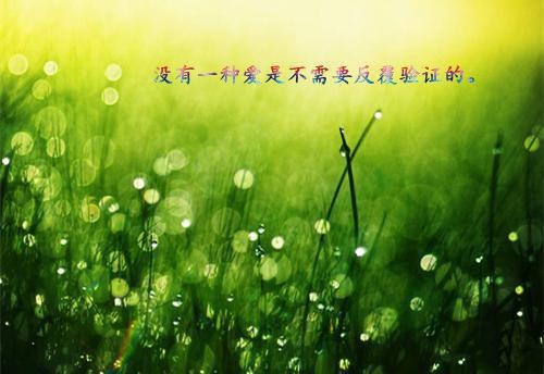 村党支部书记辞职申请