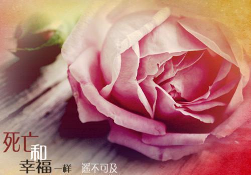 暑假国税局实习报告范文