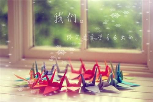 不悲不喜安之若素散文关于不悲不喜的散文