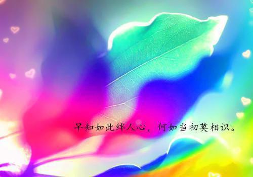幼儿园小班生活故事