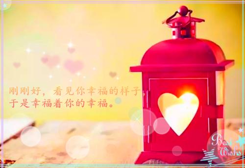 身残志坚的名人故事：张海迪的故事
