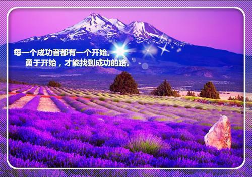 沈雪鸢靳司臣小说(爱若难守便不守)最近更新（沈雪鸢靳司臣）整本无套路阅读