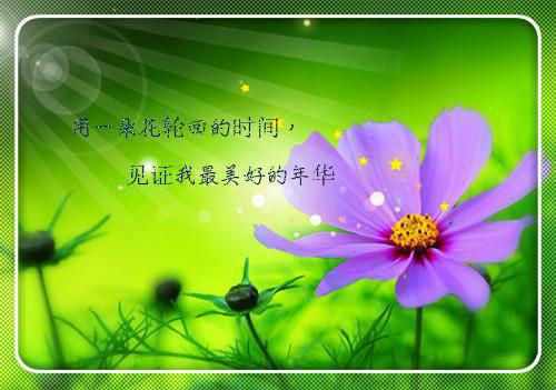 129运动活动总结3篇
