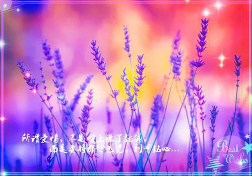 动物爱情故事短篇