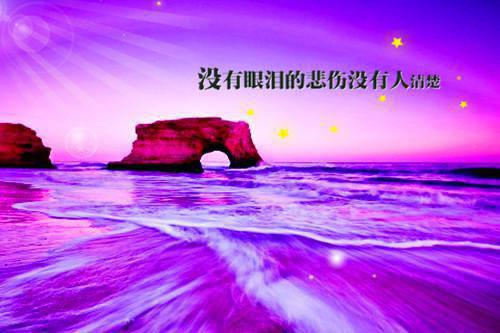 公司职员合同到期优秀辞职报告