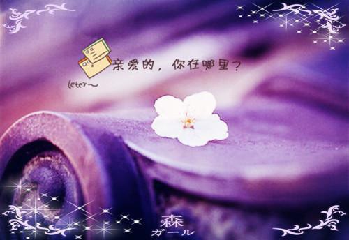 秦书雅江言傅（行至爱意消散处/爱意离散：结局+番外）全文免费阅读无弹窗大结局_(秦书雅江言傅)最新章节列表_笔趣阁（行至爱意消散处/爱意离散：结局+番外）