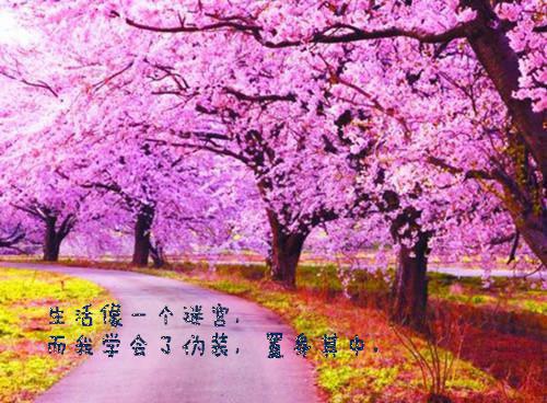 电影中的十大真情告白集锦