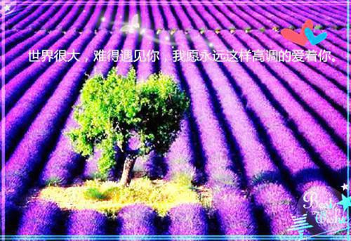 思乡的诗句——《北风行》