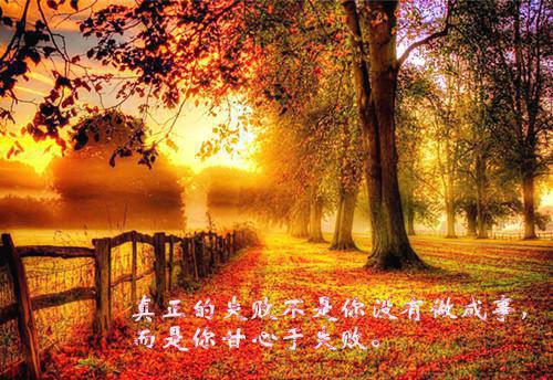 短篇的虐心爱情故事