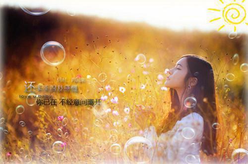 关于赞美秋天诗句有哪些