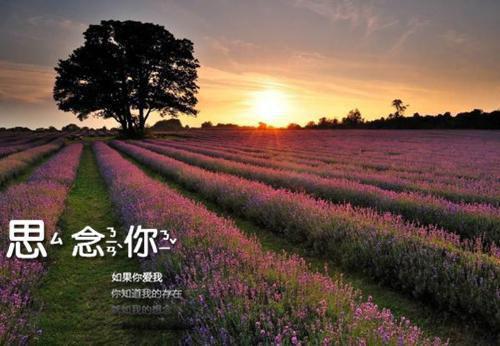 写景诗——《桃花溪》