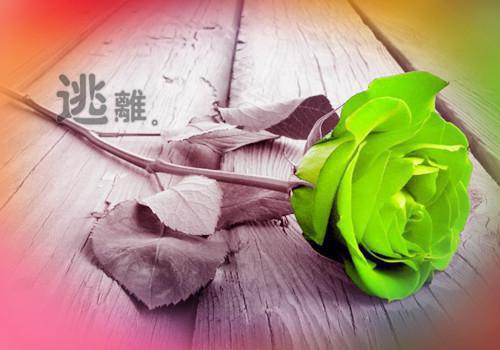 空中监狱经典台词精选