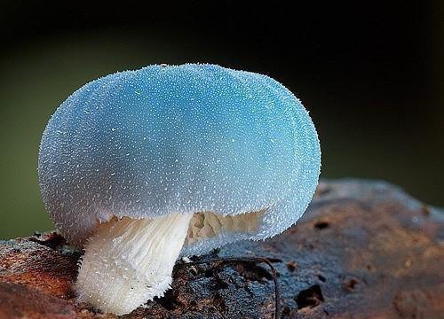 (热推新书)《林意秋贡巴平措》落日散尽余晖：大结局+后续小说-抖音热推落日散尽余晖：大结局+后续小说无广告阅读