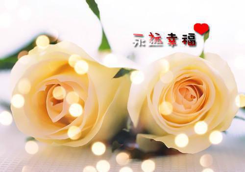 监狱民警个人年终总结