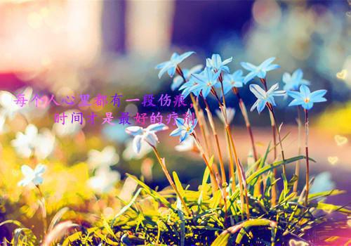 书名：蓄意百变：江姜全本资源免费阅读结局无删节 主角：江姜小说全文阅读无弹窗