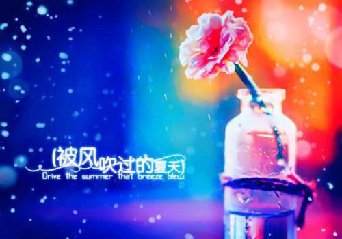 警官学院毕业生的相关实习报告