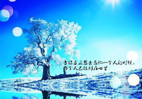 关于化学教学工作总结范文汇总五篇