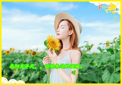 2023年最新乡镇长述职述廉报告