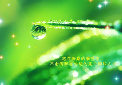 热门章节_笔趣阁（沉溺于他的心跳频率）沉溺于他的心跳频率小说(吕时慢江星河)章节在线阅读