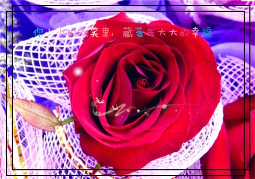 国内外爱情格言