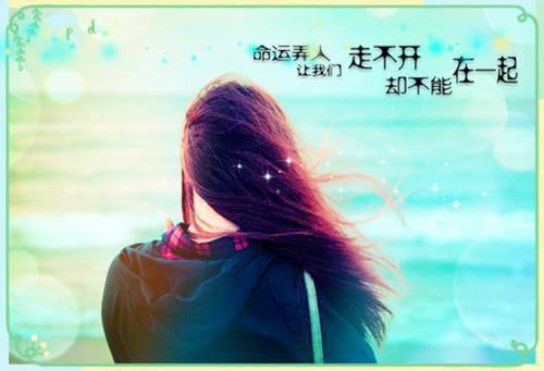 折柳一枝空在手