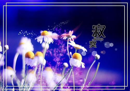大学班长工作总结范文范文