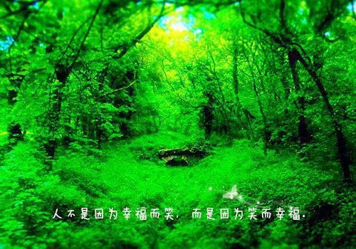 个人工作总结2023 个人工作总结范文简短