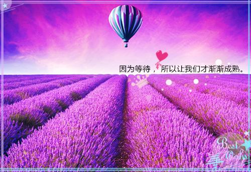 顺丰离职报告