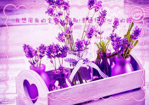 送给最爱的人生日祝福语