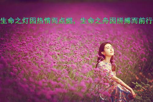 描写冬天的诗句——《就实六枝》