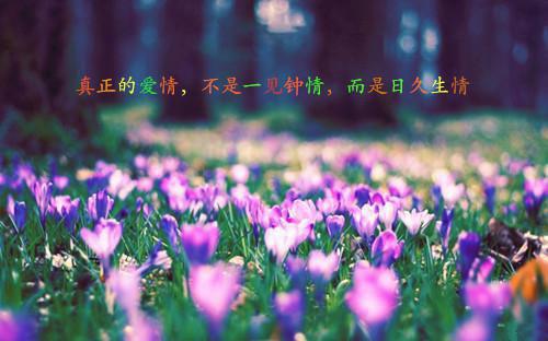 许曼珠顾司深小说(重生八零，团长小叔沦陷了)（许曼珠顾司深）在线畅读阅读连载中