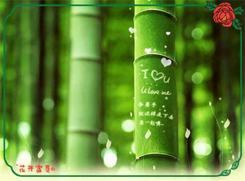 简短的辞职报告精选范文5篇