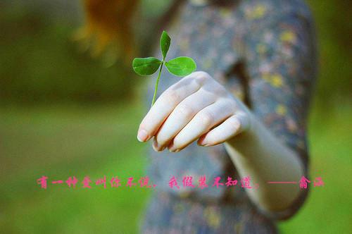试用期的辞职报告范文2023