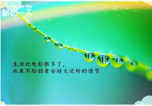送给父母的元旦祝贺词
