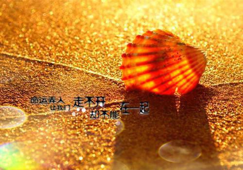 行政兼出纳个人工作总结