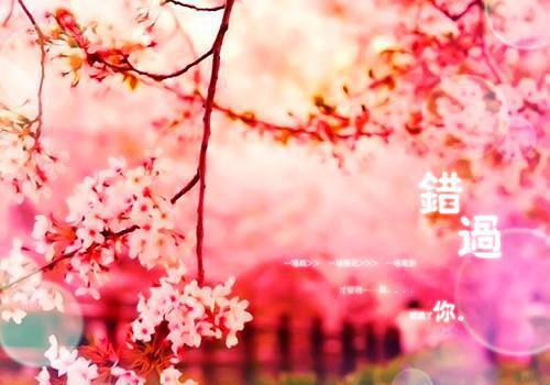 校办主任个人年度总结